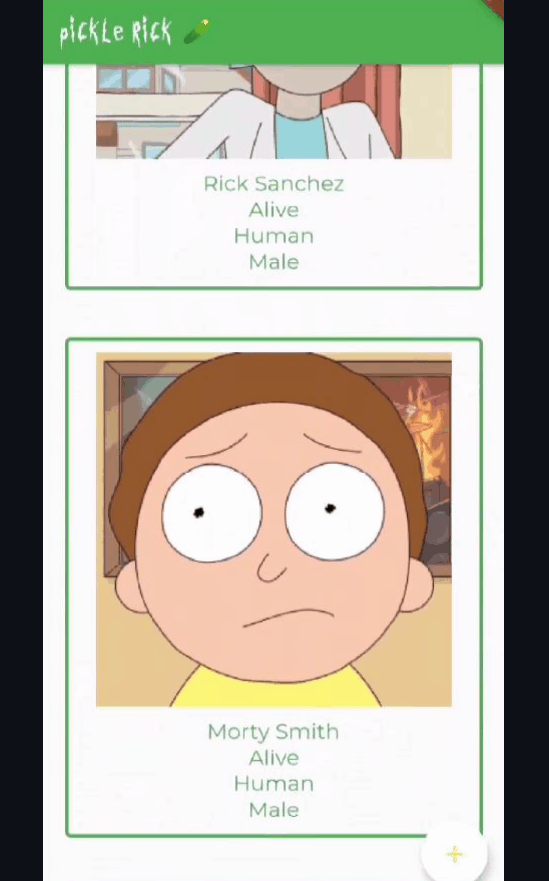 Rick and Morty Dex Flutter Mobile Application Github